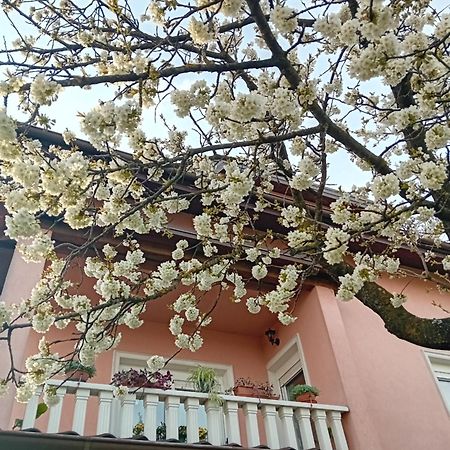 Apartman Nada 克拉皮纳 外观 照片